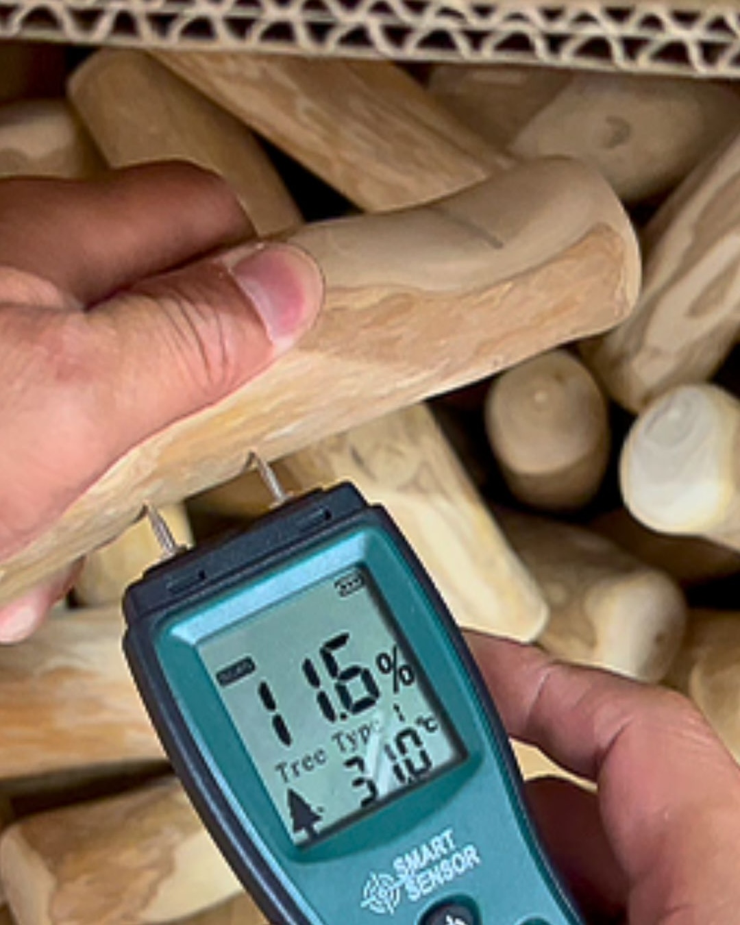 Moisture meter reading during a coffee wood chew quality check