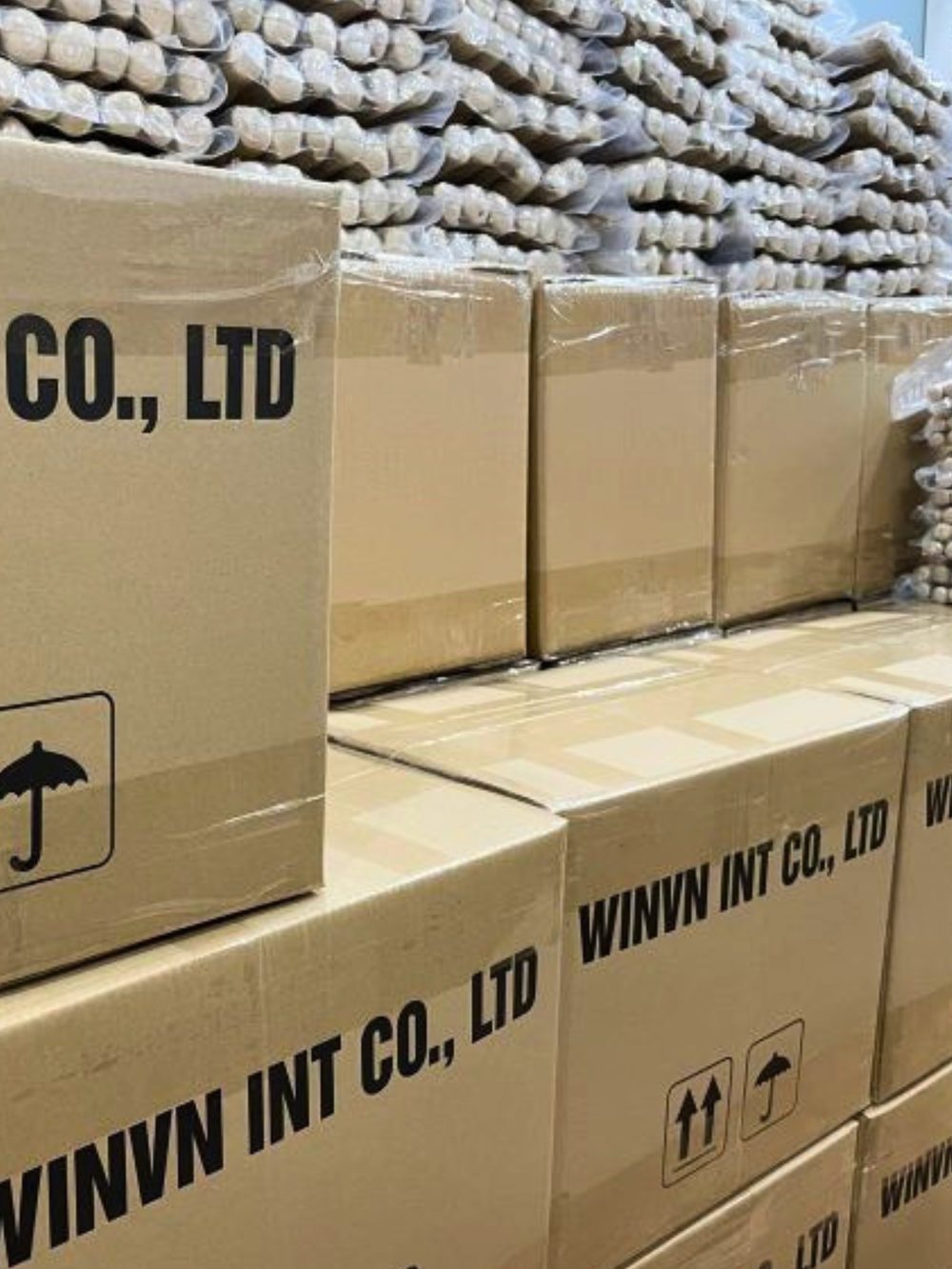 WINVN INT CO., LTD export cartons packed and ready for shipment